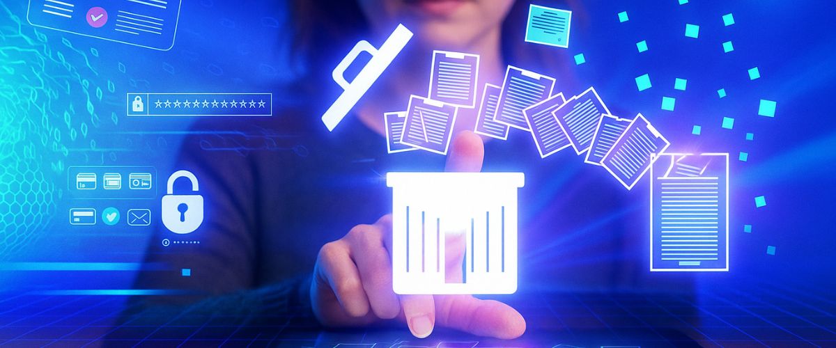 Data removal service