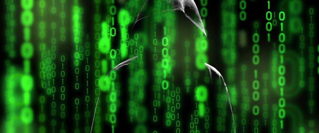 Identity thief stealing social security