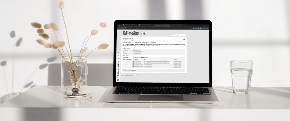 Laptop with DNS leak test