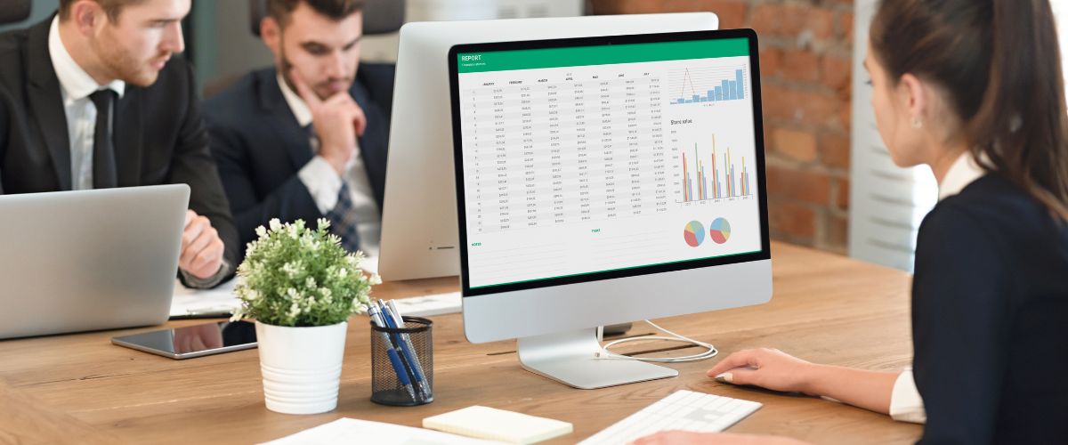 Woman looking at a report on the computer