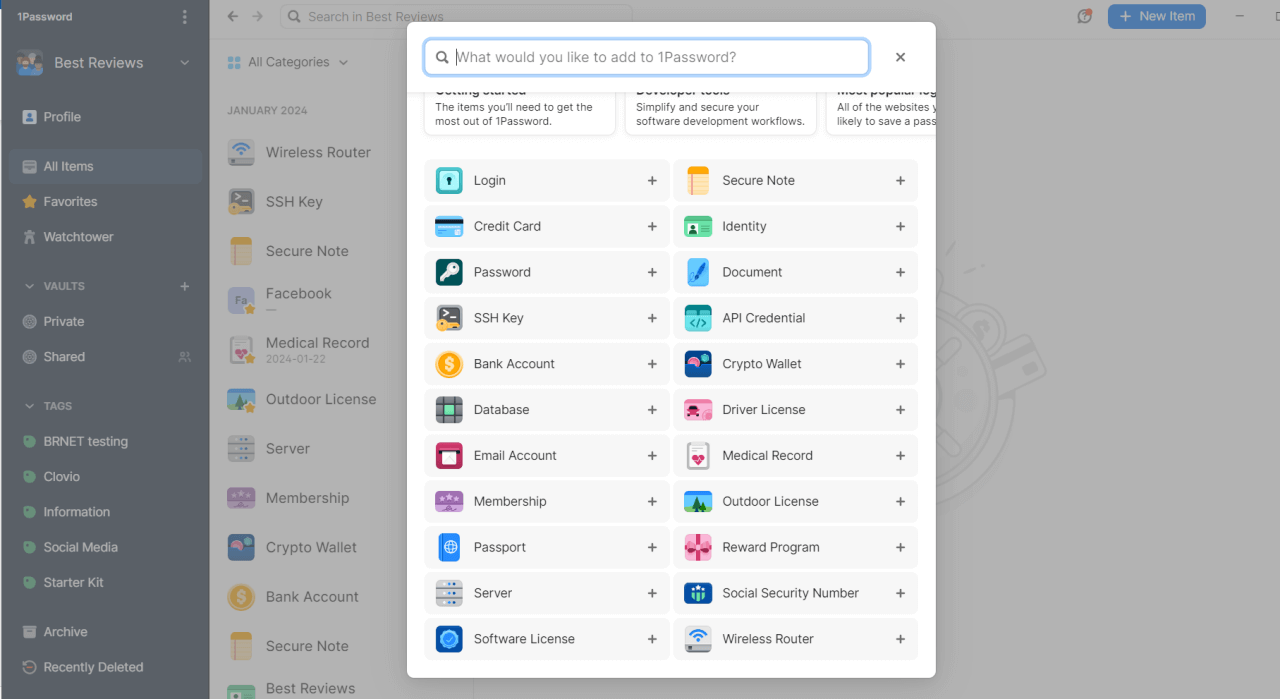 1Password new entries