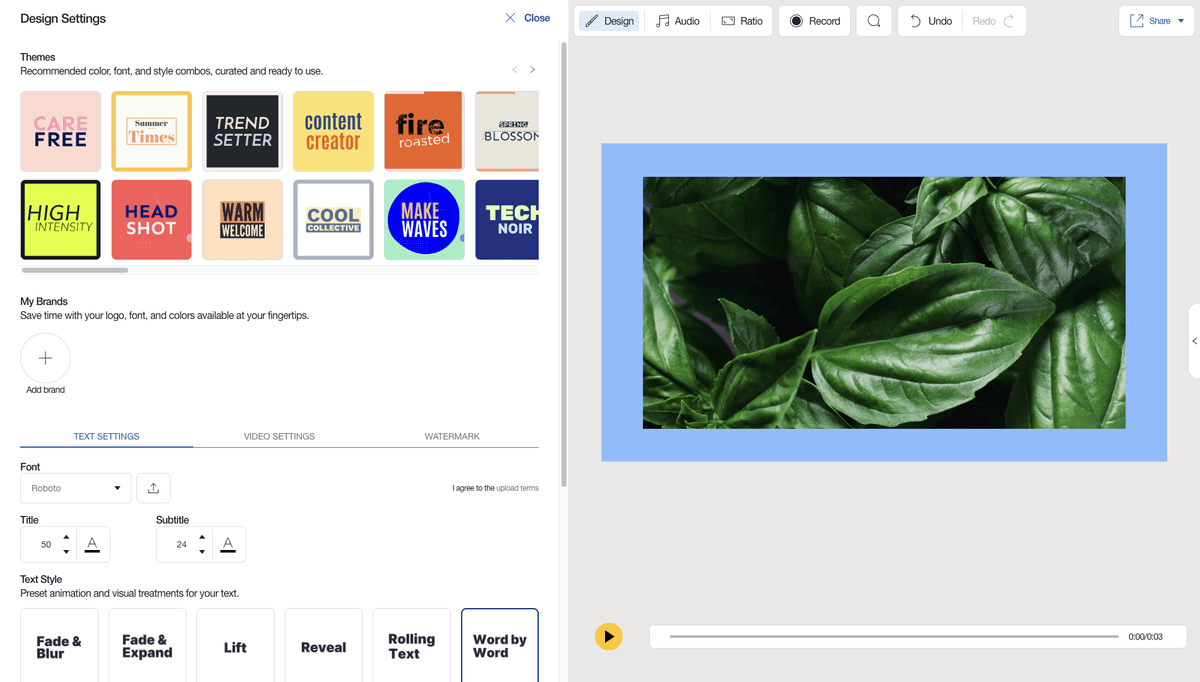 Animoto design settings