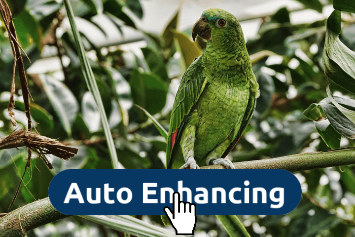 Photo Auto Enhancer vs Manual Edits: What You Need to Know