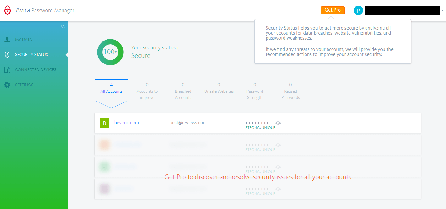 The pay-only password strength evaluator