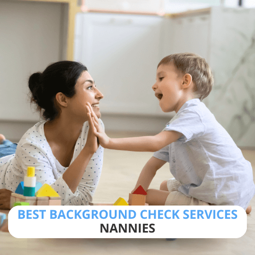 Best nanny background check services