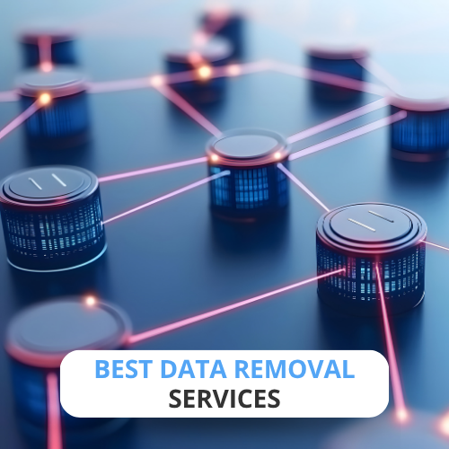 Best Data Removal Services