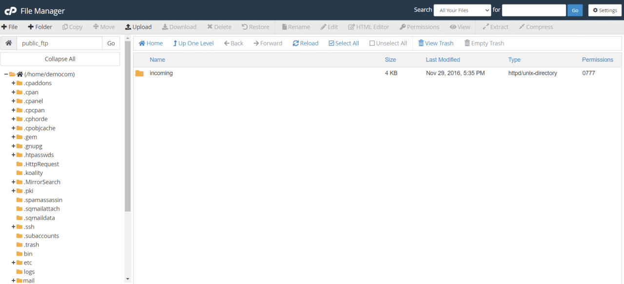 cPanel file management