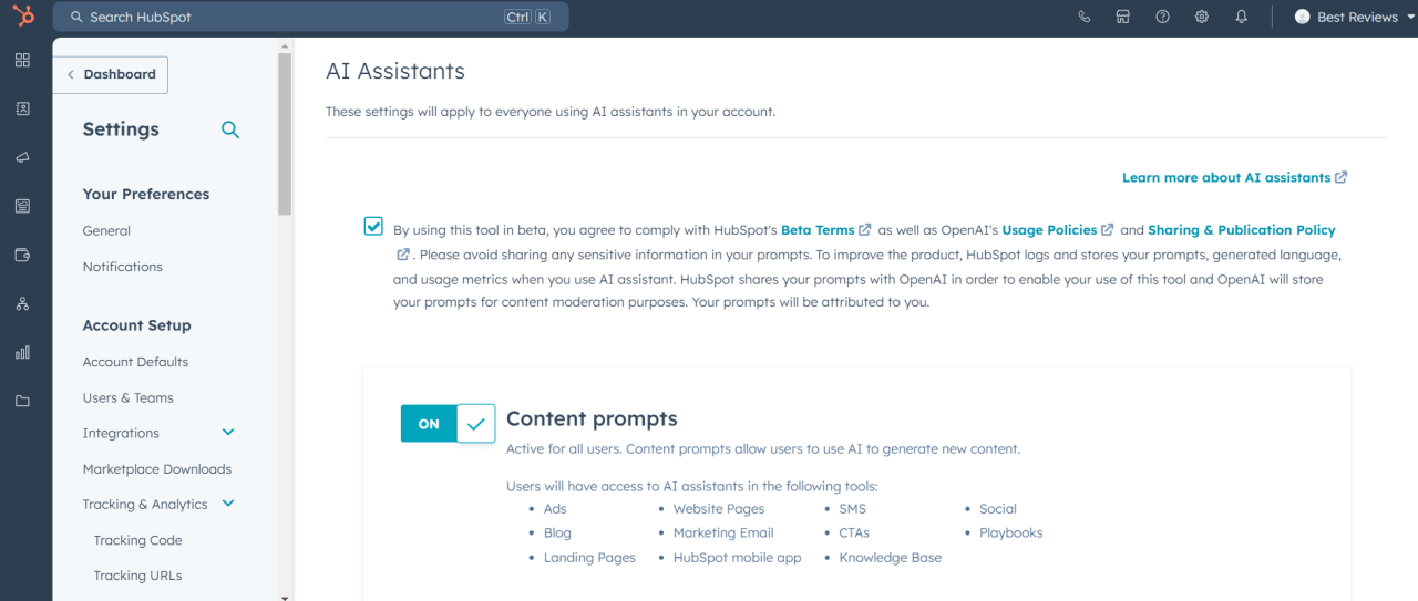 HubSpot AI assistant