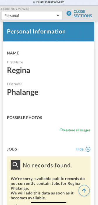 Instant Checkmate website on mobile device