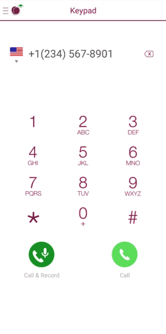 iPlum dialer