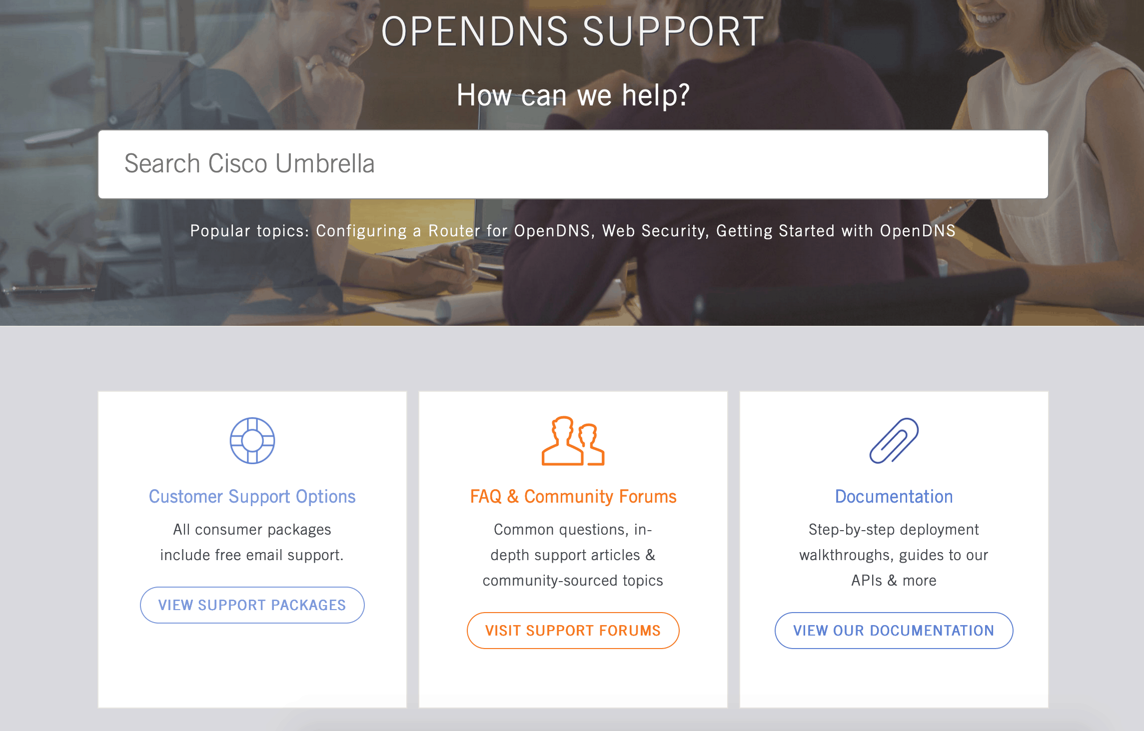 OpenDNS support