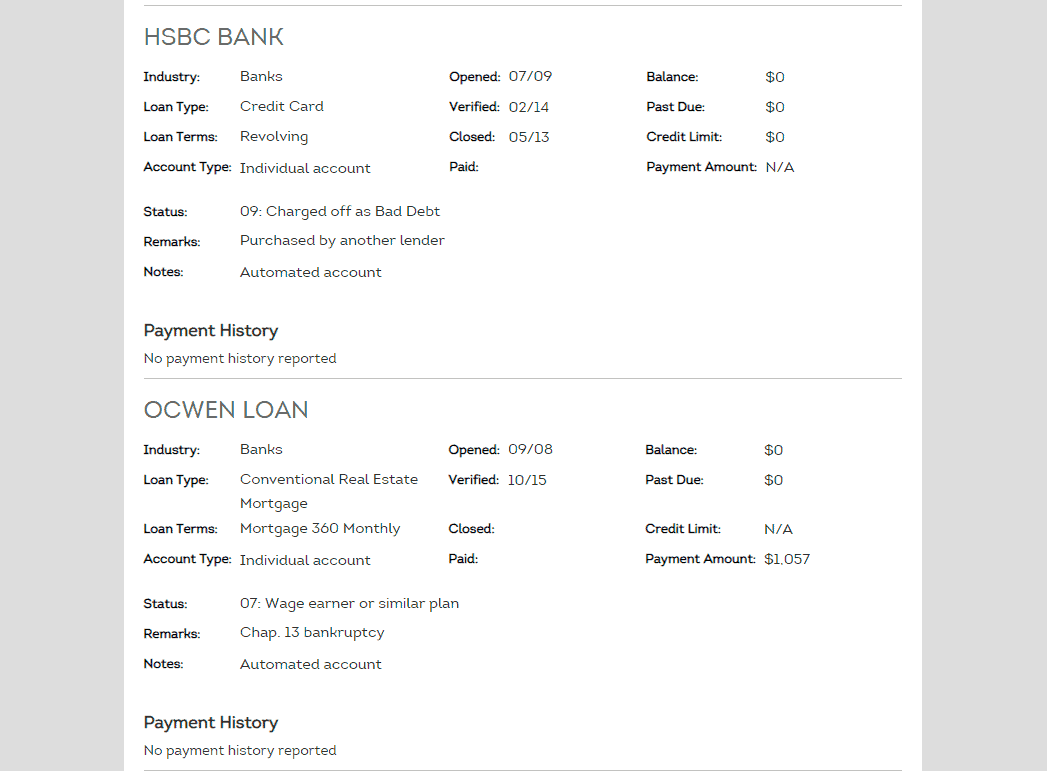 SmartMove credit report