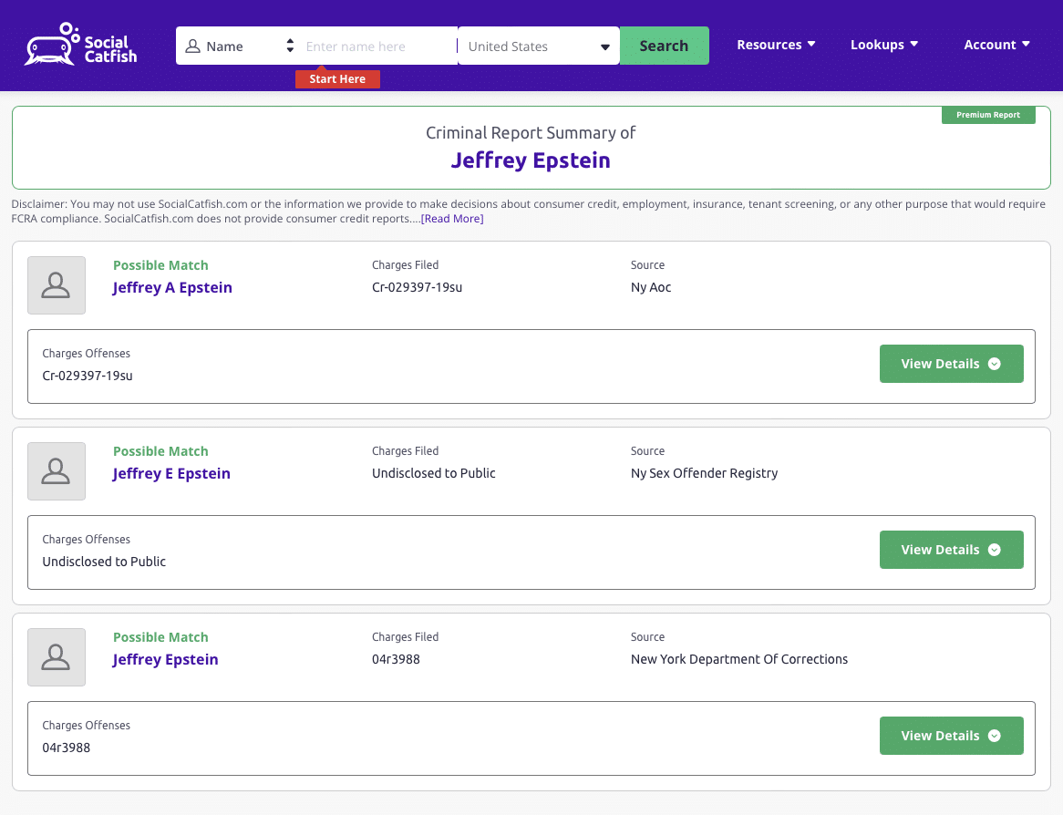 Social Catfish Criminal Record Search results