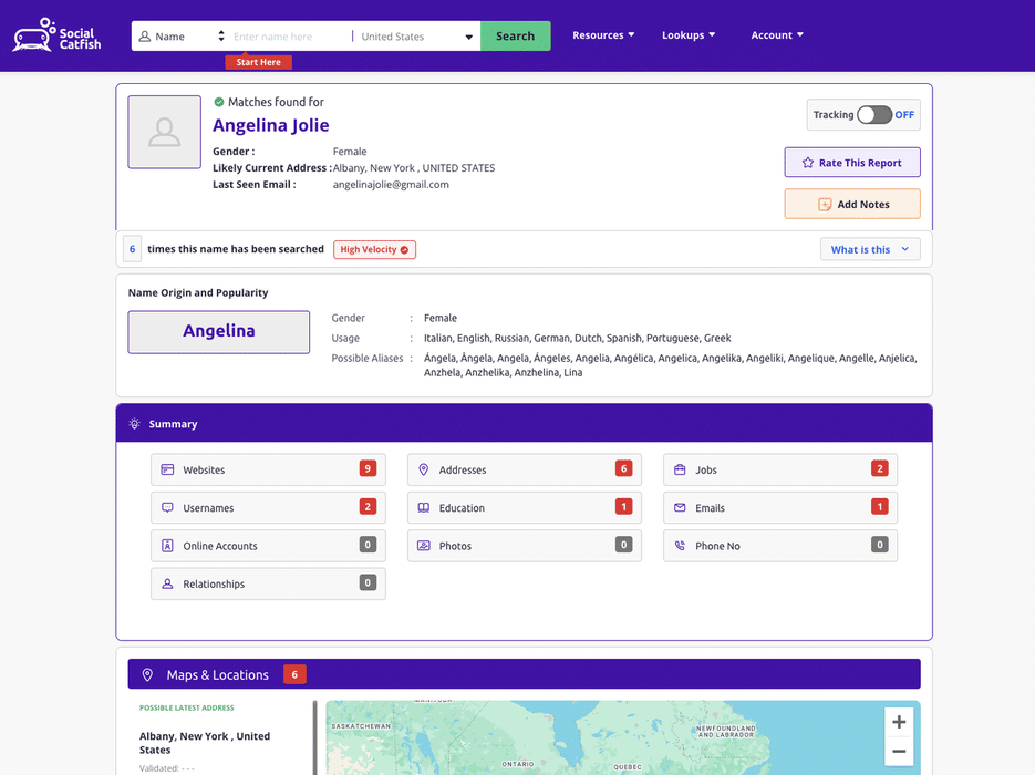 Social catfish person report summary