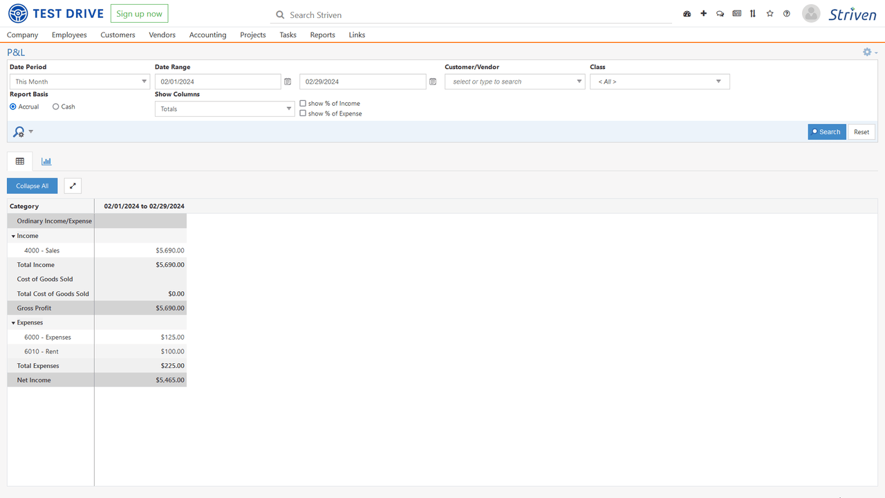 Striven profit and losses report