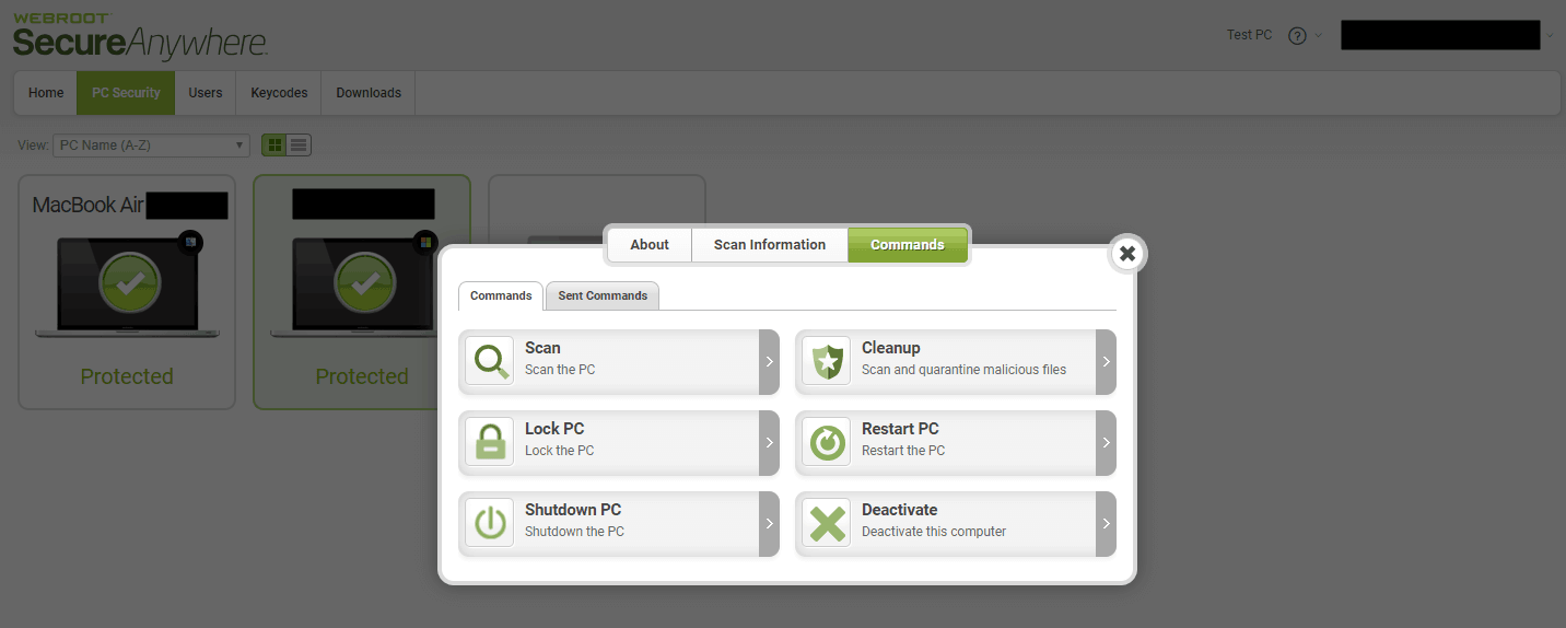 Remote commands in WebRoot's web console