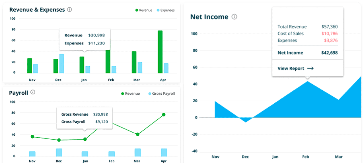 xendoo revenue expense charts